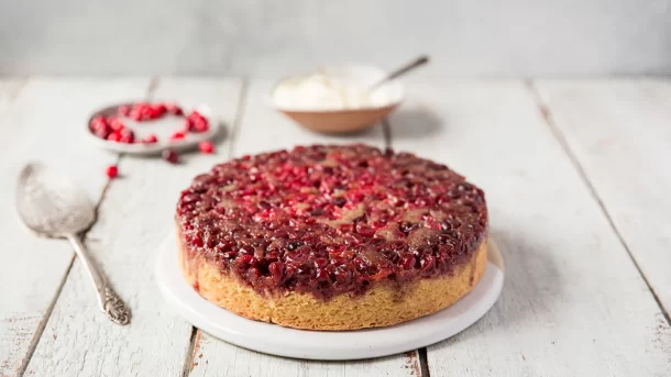 Cranberry Cake Recipe