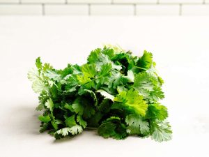 Fresh cilantro