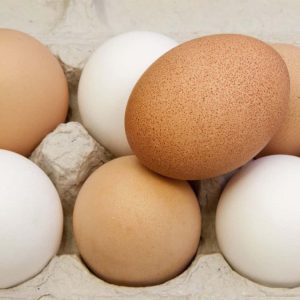 Large eggs