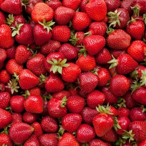 Strawberries