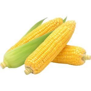 Fresh corn